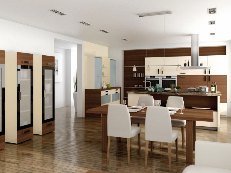 Stilvolles Küchendesign - Küche